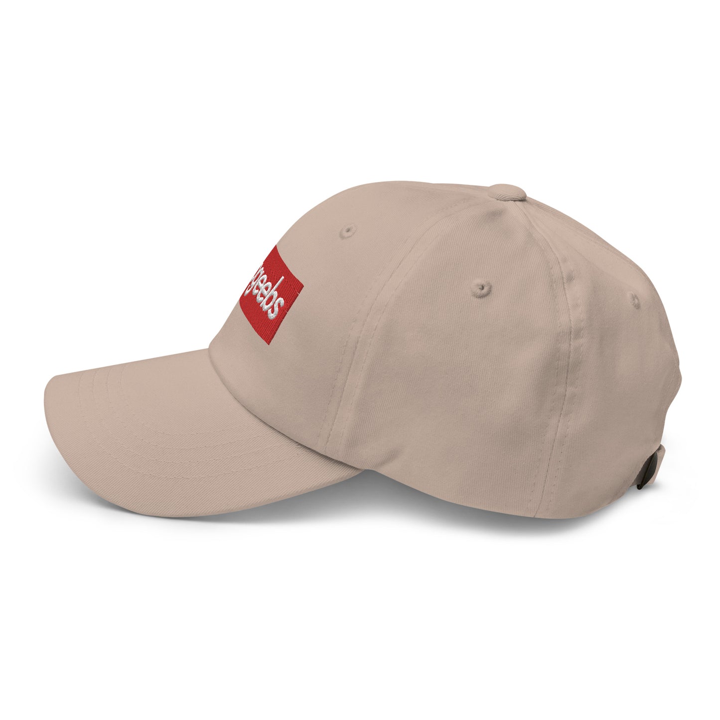 twogeebs Box Logo Dad Hat